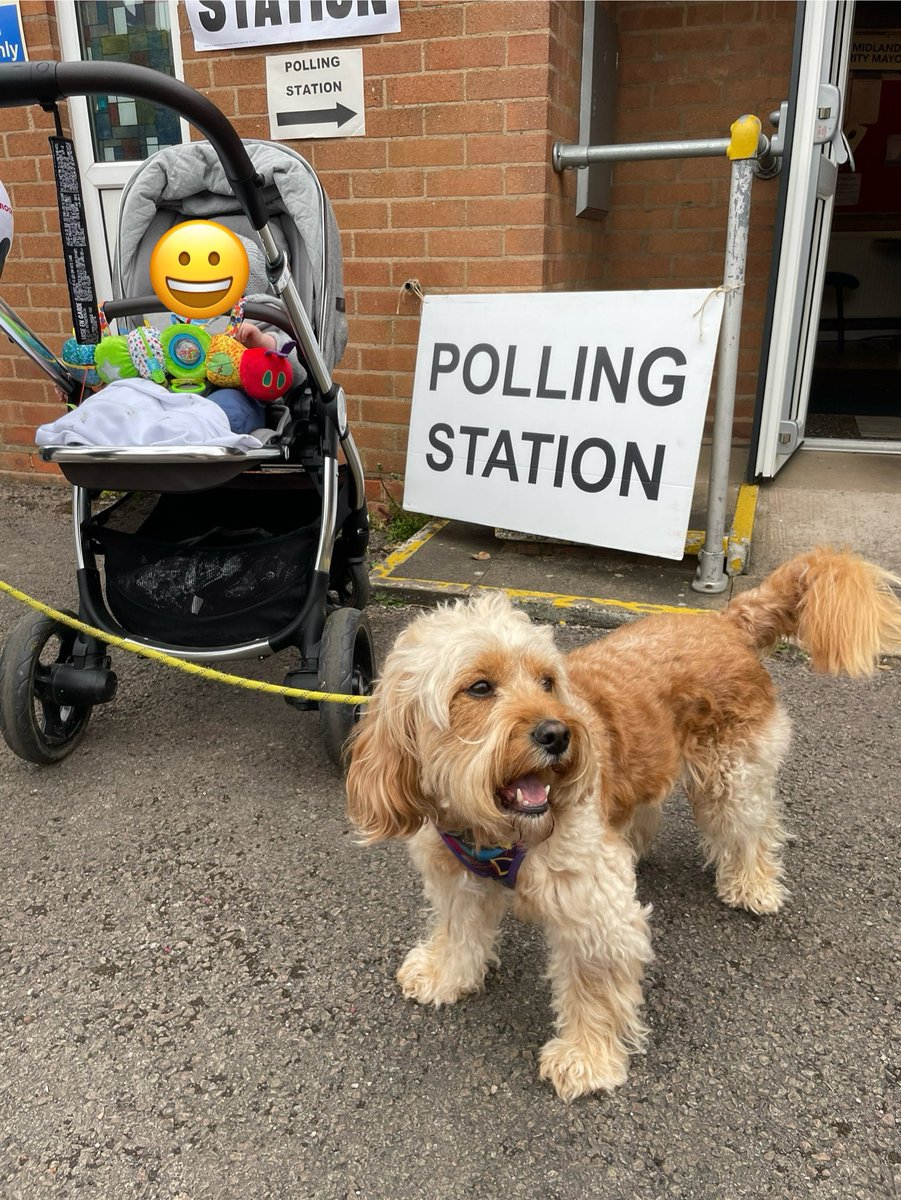 Happy voting everyone. Here’s your annual #dogsatpollingstations photo with Harry the cavapoo and for the first time it’s #babiesatpollingstations too!