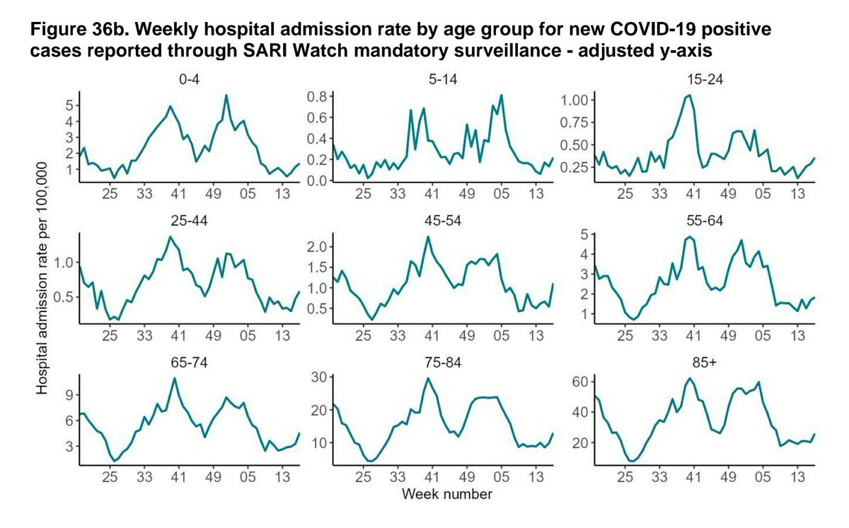 Covid Hospital Admissions in England Week 17 (ending 28 April 2024) 'Weekly hospital admission rate by age group for new COVID-19 positive cases reported through SARI Watch mandatory surveillance' (UKHSA data & charts)