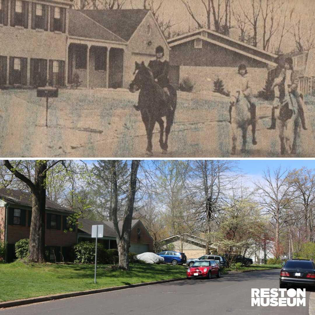 Hunters Woods, 1971.  Equestrians at a Hunters Woods subdivision from a Washington Post article displaying the culture in suburban Reston.

Image:2010.fic.466 

Additional archives on our website- restonmuseum.org/our-collection 

#Reston #RestonMuseum #RestonPastToPresent