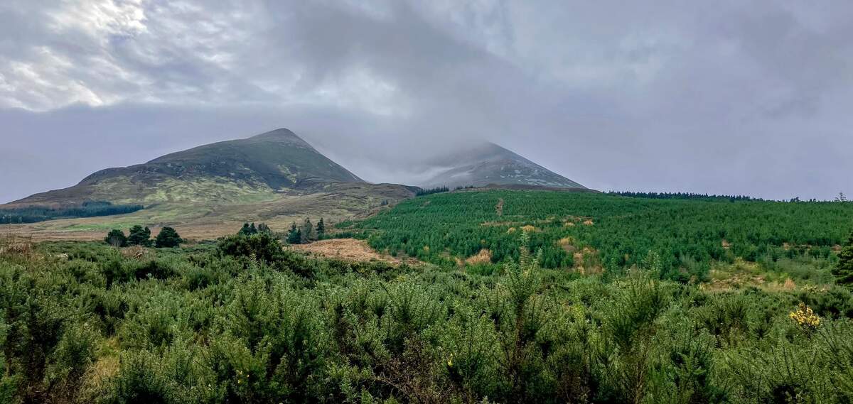 The second highest mountain in all of Connaught: Mount Nephin⛰️🌳

📍Nephin Mountain, County Mayo
📸Fionnán Nestor

#FillYourHeartWithIreland  #NephinMountain #CountyMayo #MountainAdventures #HikingIreland #WildAtlanticWay