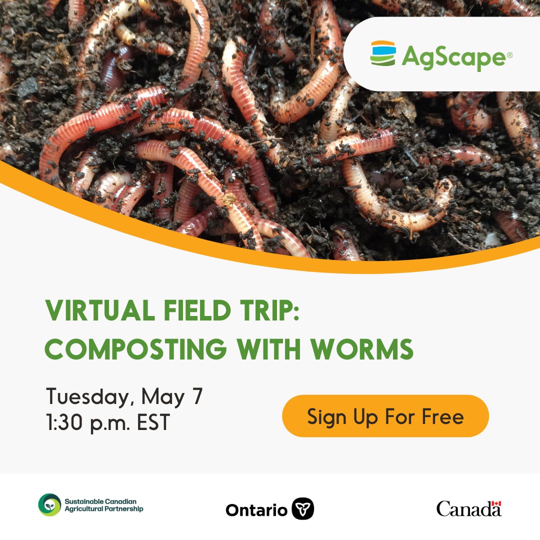 Attention K-8 teachers in Ontario! On Tuesday, May 7, at 1:30 p.m. EST, take your students on a free Virtual Field Trip to Worm Wrangler to learn about vermicomposting, a process of composting organic waste using worms. Register now at ow.ly/ooQc50Rk8gu