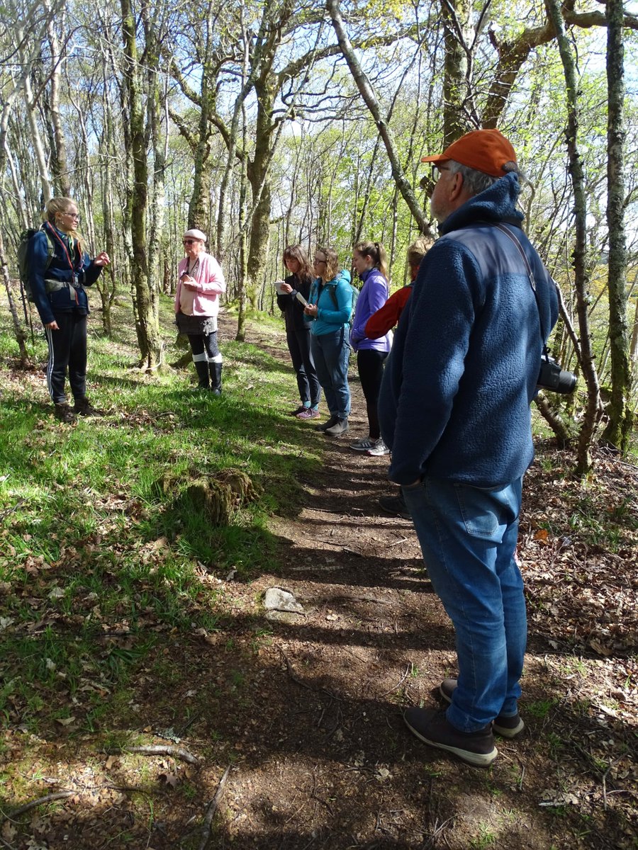 Delighted to host @BLSlichens & @ASRainforest at #DunollieWood last week & take a closer look at some of the 250 species that call Dunollie home! 🍃 🔎 Why not test your lichen ID next time you're out for a walk? 👉 buff.ly/44EtEkx