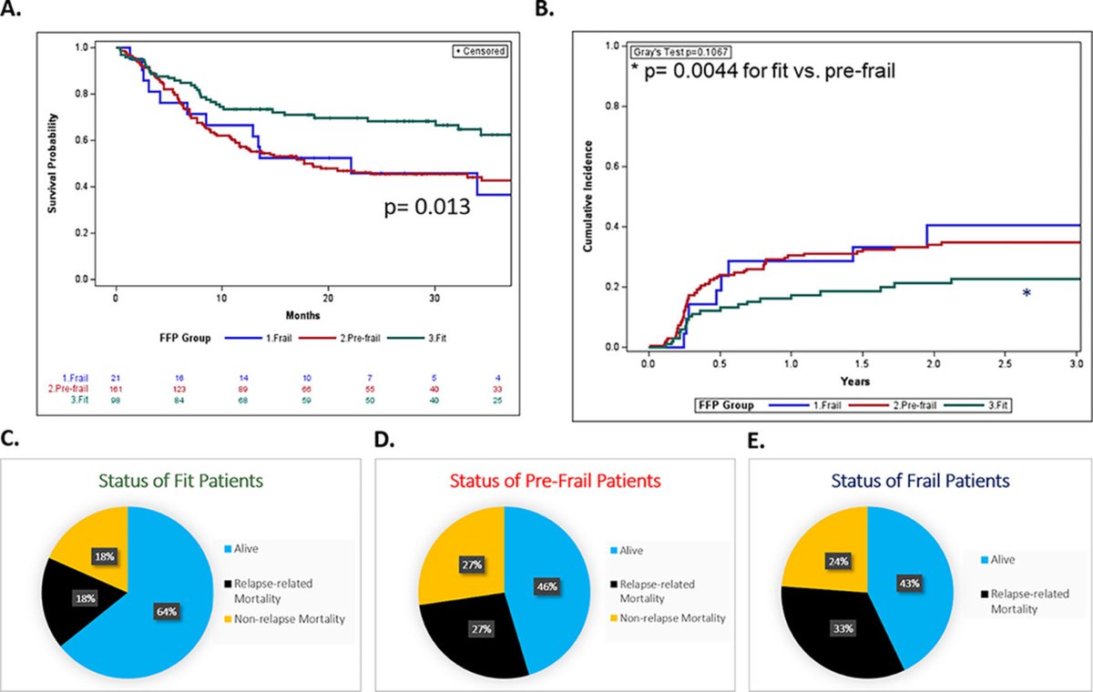 A study highlights that our current practice does not adequately identify which older patients are high-risk for death after #HCT. Using frailty status, age, KPS and DRI together may allow us to inform our older patients of their chance at survival. ow.ly/ReuR50Rr30n