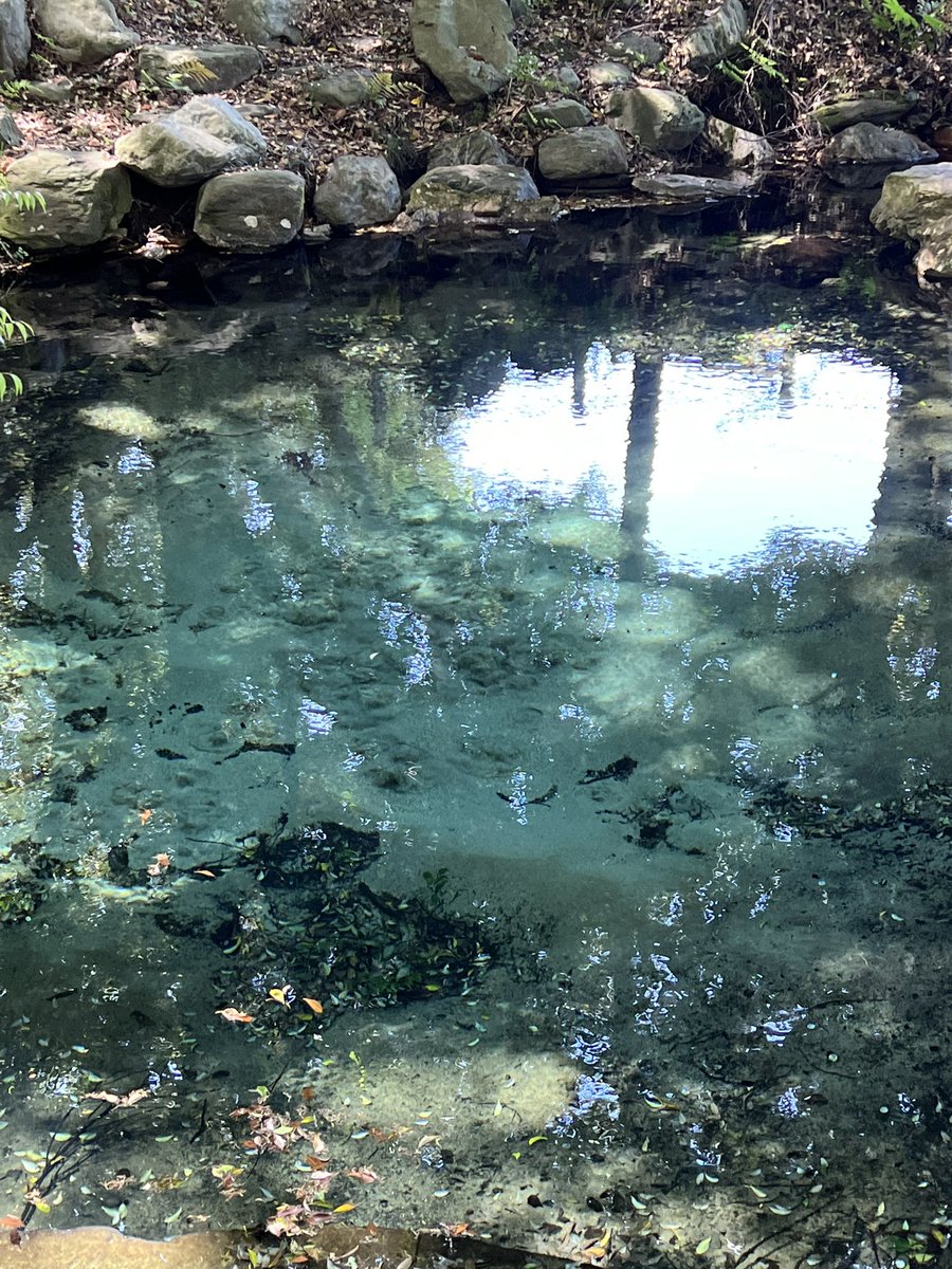 砂の所から水が湧き出てた
泉にお賽銭を投げる人がいて、飲めない水になっちゃったらしいよ　#茨城　#泉神社