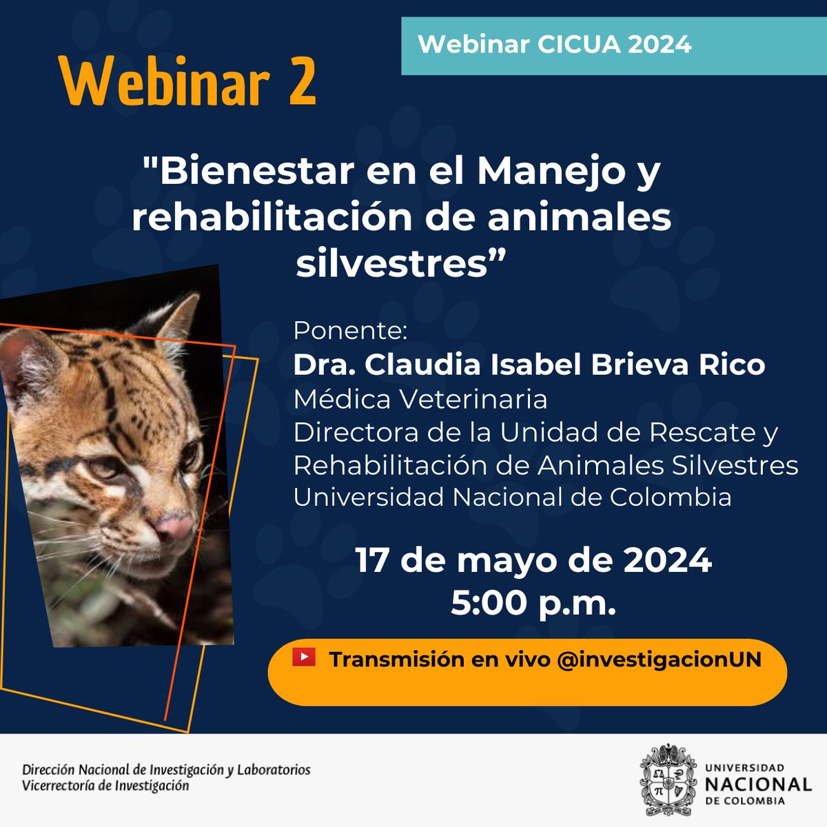 #ÉticaUNAL [Webinares #CICUAUNAL 2024] «Bienestar en el manejo y rehabilitación de animales silvestres» (Claudia I. Brieva R. @FMVZ_UNAL @URRAS_UNAL): tiny.cc/CICUAUNAL202402 @CamiloYounes @DIEB_UNAL @DIEUNMED @PalmiraUNAL @UNALoficial @TelevisionUNAL #UNAL
