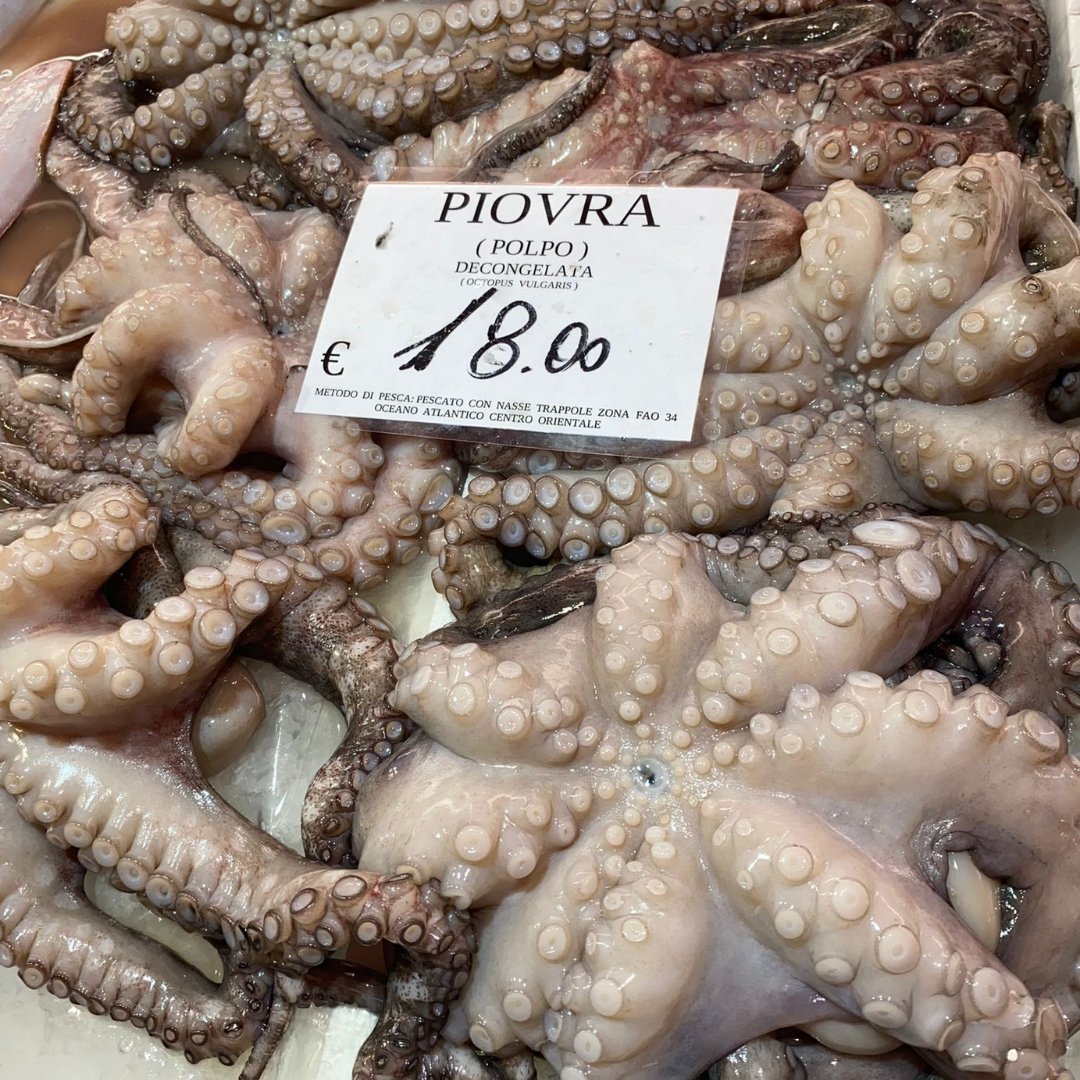 Italian fish market wonders! What are your favourite types of seafood? I can't decide! #RialtoFishMarket #ItalianSeafood #FishMarketFinds #SeafoodLovers #FreshCatch #SeafoodDelights #FoodieFinds #OceanToTable #MediterraneanCuisine #Seafood