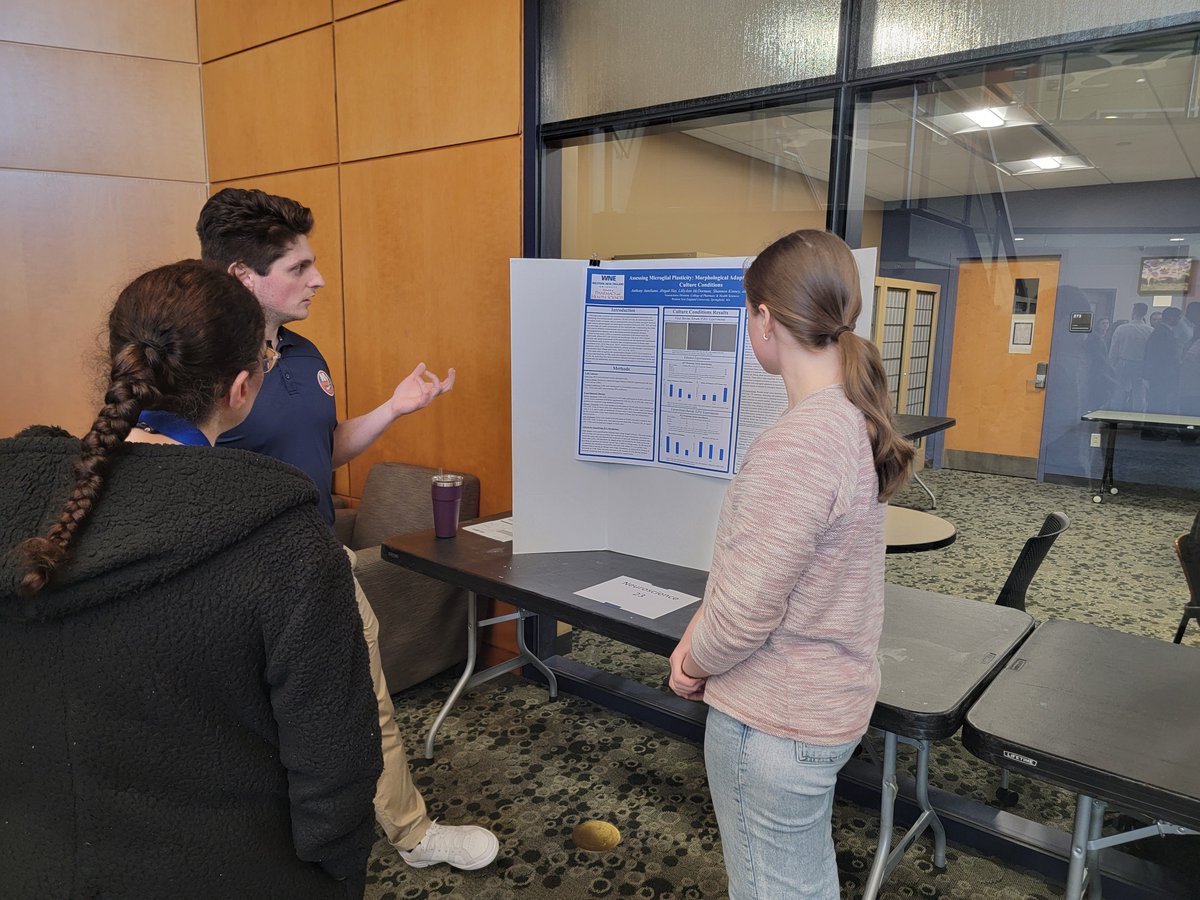 Throwback to last week's College of Pharmacy and Health Sciences Interprofessional Poster Session! Congratulations to all the students who shared their work and research with us. #Research #HealthSciences #Collaboration #ThrowBackThursday