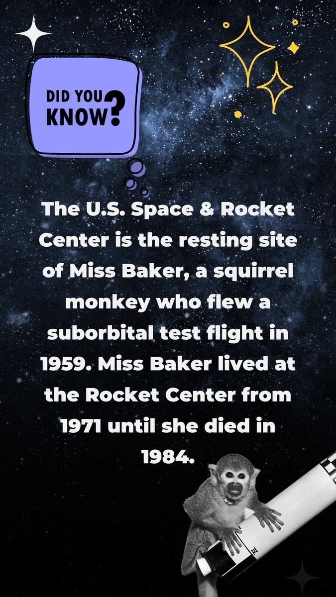 HBCUgrow's tweet photo. Today's fun fact about the U.S. Space &amp; Rocket Center: Miss Baker, the Spacefaring Squirrel Monkey!

Want to learn more? The LEAD Conference will be on The Space Rocket Center this November 12th! Don't miss this chance to connect! https://t.co/Na3HTsXplm
We hope to see you there! https://t.co/VfYJvzfQlC