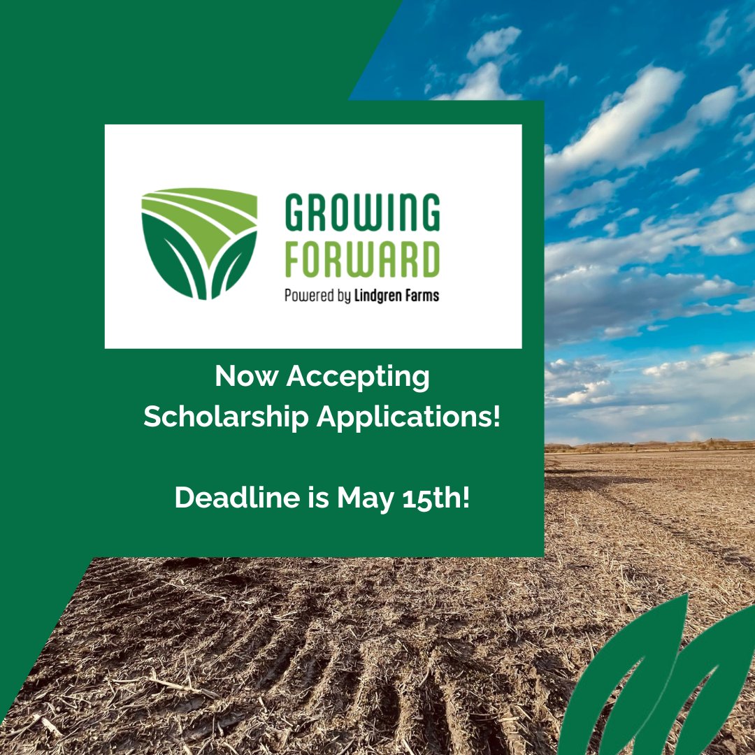 You still have time! The Growing Forward Scholarship is accepting applications until May 15th, 2024. If you're a high school grad passionate about agriculture, this $1000 scholarship could be yours. Apply now with a video submission. lindgrenfarms.ca/growing-forward #saskag