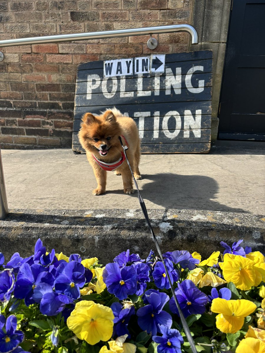 I find elections genuinely heartwarming, not sure if it’s the army volunteers who step up to make it happen, or knowing women literally died so I had the right to take part in this democratic process. If that wasn’t enough there’s this #dogsatpollingstations #Election2024 🐕 🥰