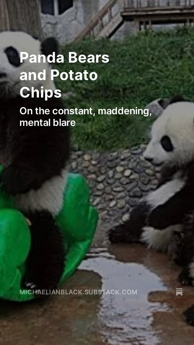 I wrote about panda bears and potato chips. What else is there, really? michaelianblack.substack.com/p/panda-bears-…