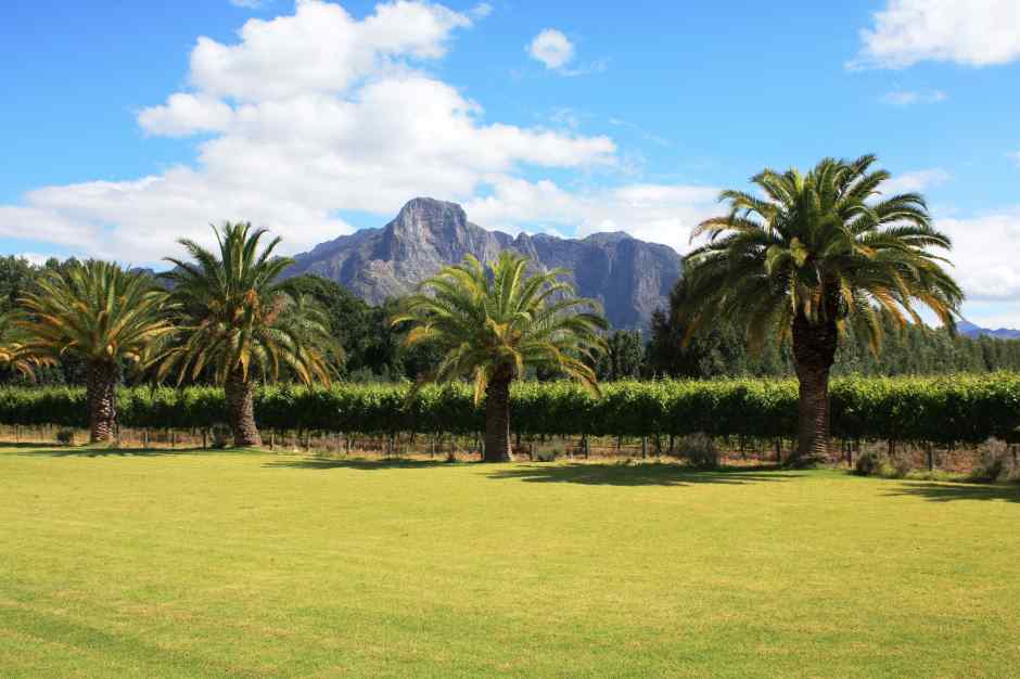 Entdeckt mit uns die top 5 Weingüter in Südafrikas atemberaubenden Cape Winelands! Welches ist dein Favorit? travelworldonline.de/weinregion-sue… #Weinliebe #Südafrika #KapstadtWein #SüdafrikaWein #CapeWinelands #WeinliebeKapstadt #WinelandsErlebnis #StellenboschWein #FranschhoekWein