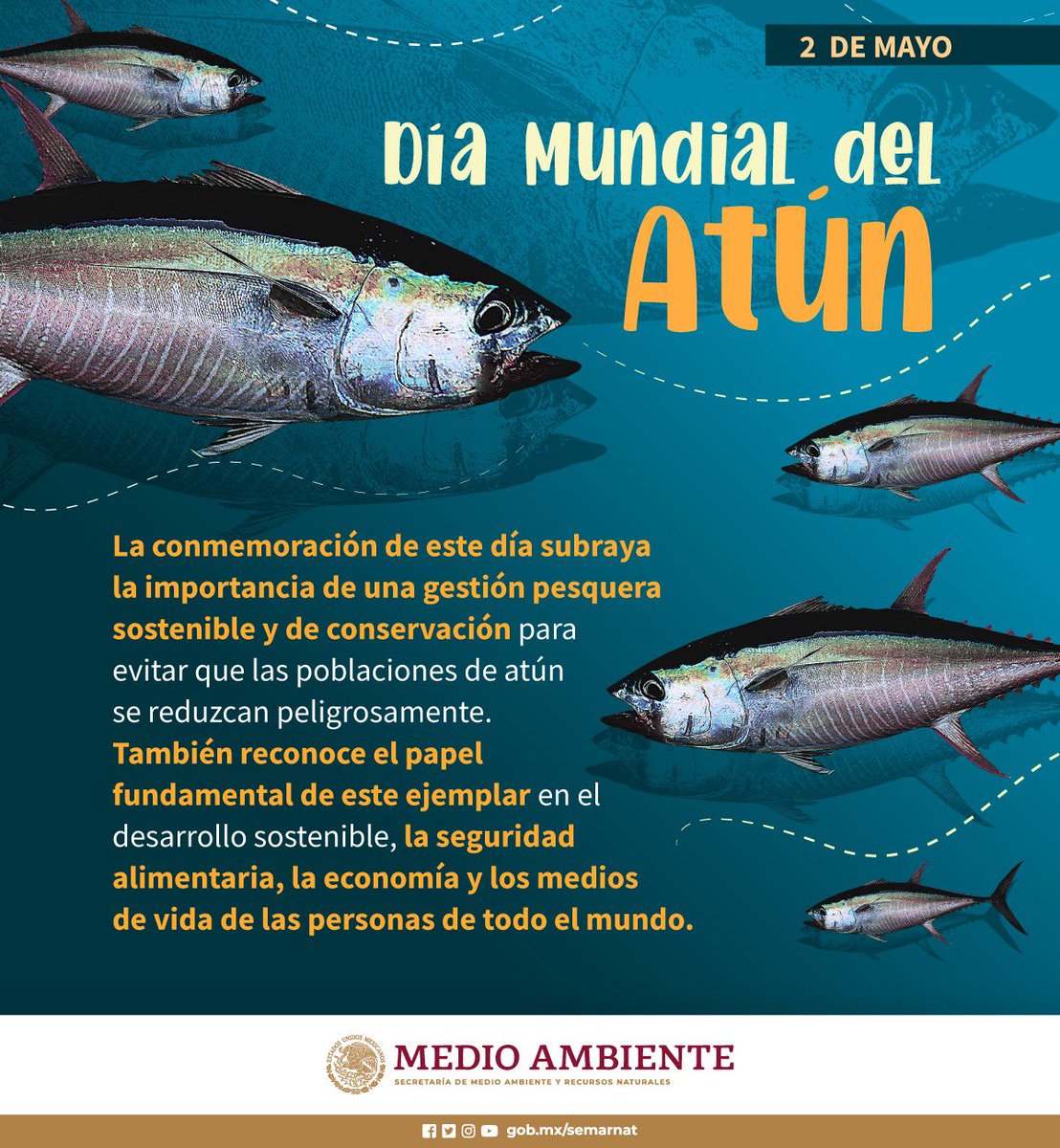 Celebramos el #DíaMundialDelAtún. 🌎🐟✅ Consume sólo atún de pescaderías gestionadas de manera sostenible.