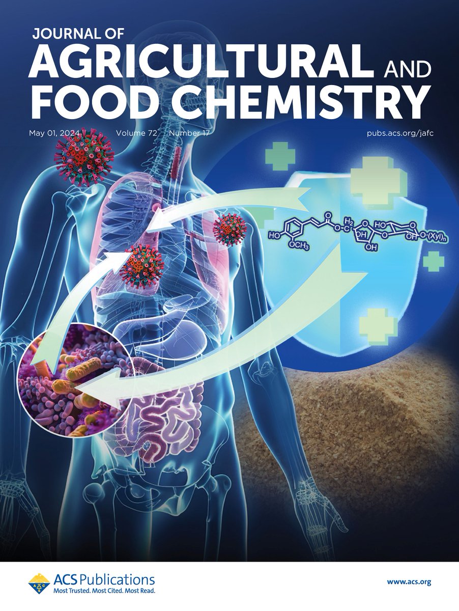 Feruloylated #oligosaccharides prevent influenza-induced lung inflammation via the RIG-I/MAVS/TRAF3 pathway. Learn more in this #JAFC cover article at go.acs.org/9bc
