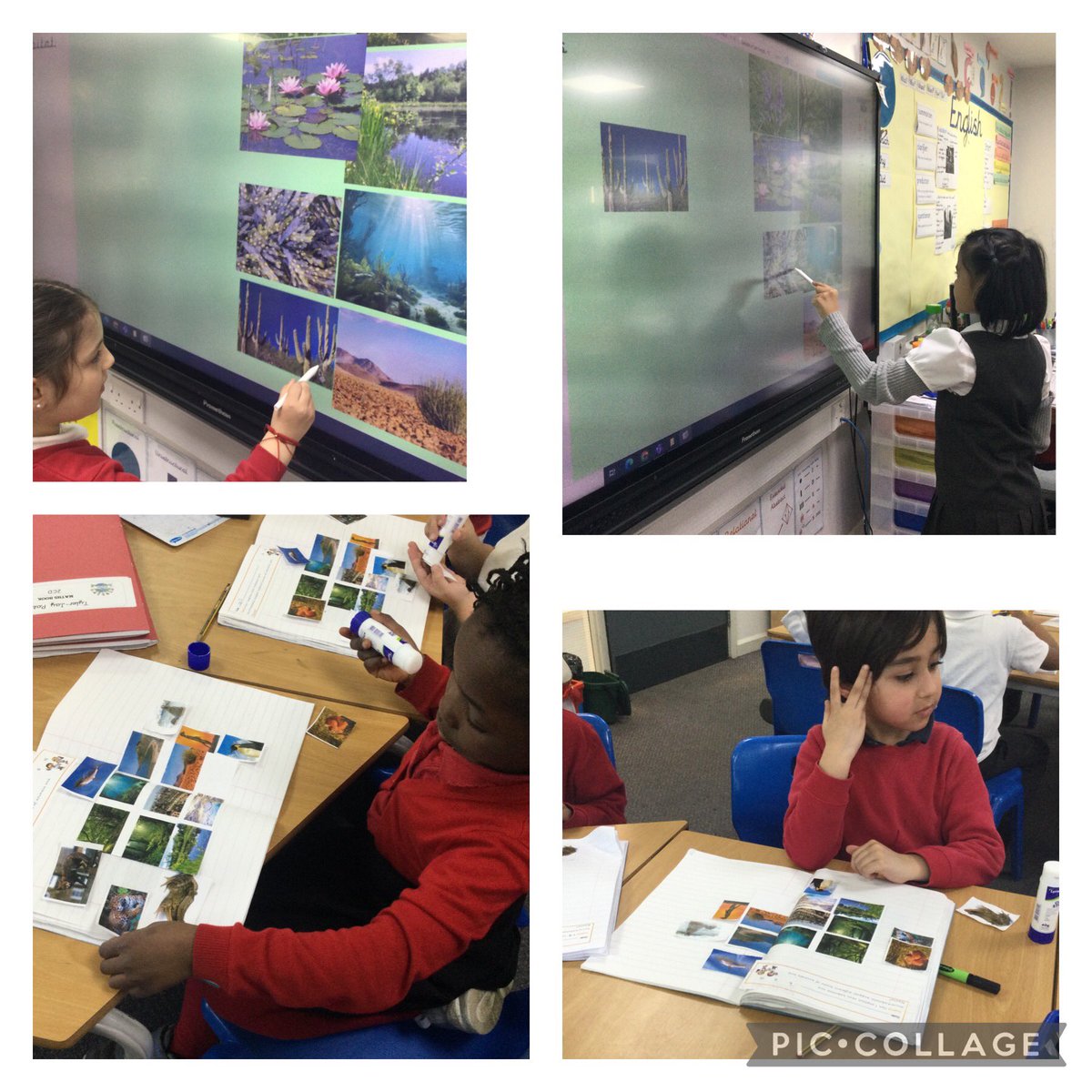 2CD have been identifying the habitats of plants and animals. Then they considered why a particular animal might be most suited to that habitat. #y2science @thrivetrust_UK @thrivetrust_CEO