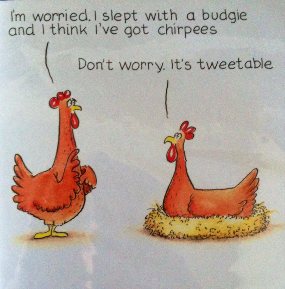 This always makes me chuckle - not sure who 1st put it out there so apologies for the lack of acknowledgement #twitterlaughs