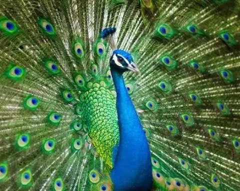 PuzzPeclair's tweet image. 