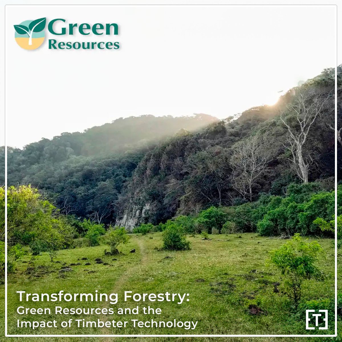 🌿Discover how @‌GreenResources, East Africa’s leading forest development and wood processing company, is revolutionizing sustainable forestry with the help of Timbeter technology.Learn how Timbeter is reshaping the forestry industry.
buff.ly/44mgCIb