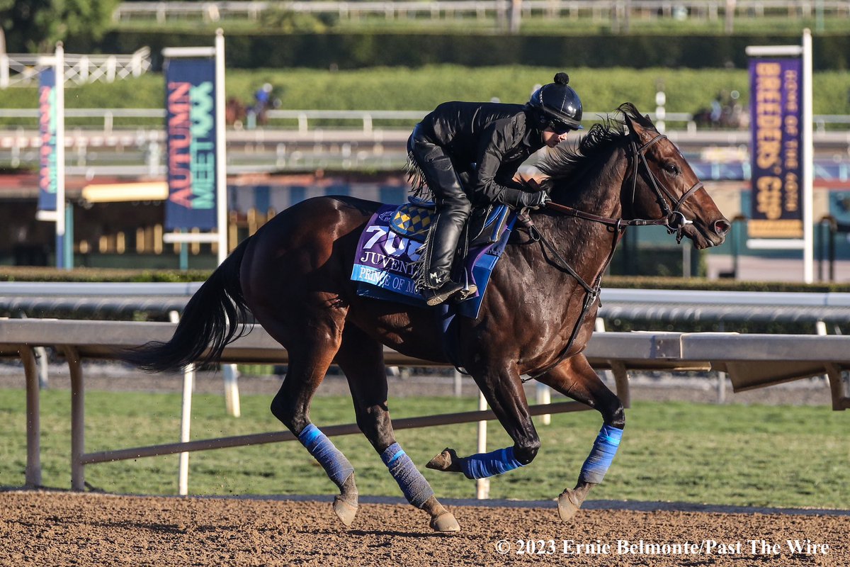 Prince of Monaco worked 4-furlongs in a bullet 47.2 at @santaanitapark Monday for trainer Bob Baffert. 1/43. The G1 Del Mar Futurity winner hasn't raced since the @BreedersCup and is gearing up for his 2024 debut

📸 @ErnieBPhoto93