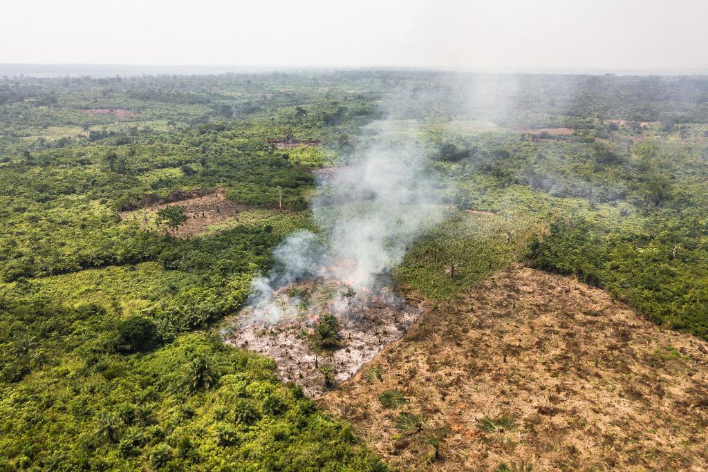 Wet, lush forests like in the Amazon and US Pacific NW aren't immune to fire.

Africa is no exception. Tropical forest fires there have doubled in recent decades, a new #AGUpubs study finds. Climate change is largely responsible.

Get the whole story: news.agu.org/press-release/…
