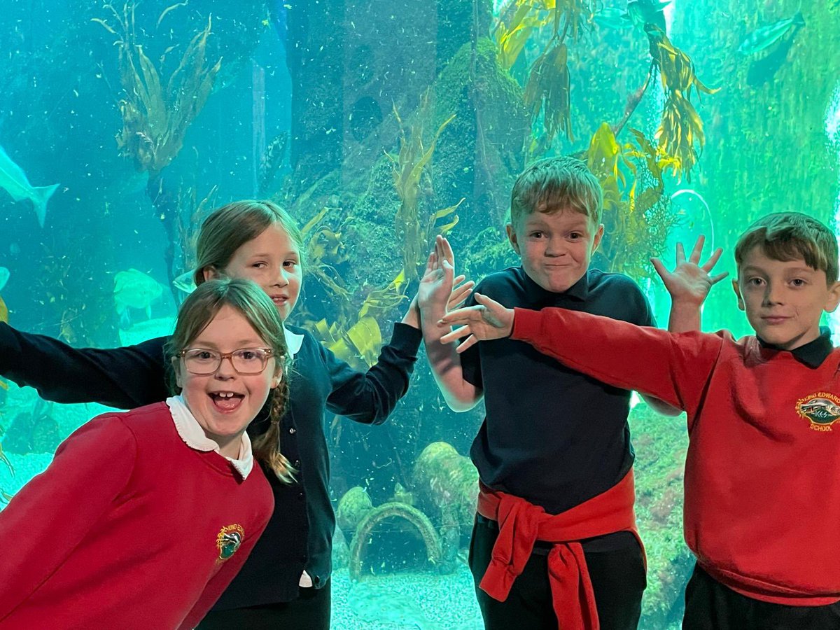 A trip to Macduff Marine Aquarium to enhance our learning and answer some of the Big Questions we have on plants and animals #curiosity #sensemaking 🐟 🐠