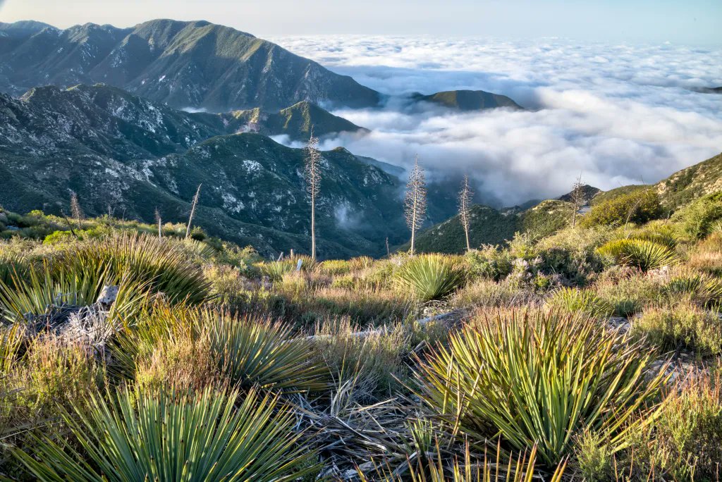 California is home to some of the most unique public lands in the world. So grateful for @POTUS's bold action today to preserve the San Gabriel Mountains National Monument and Berryessa Snow Mountain National Monument. I mean – just look at those views!