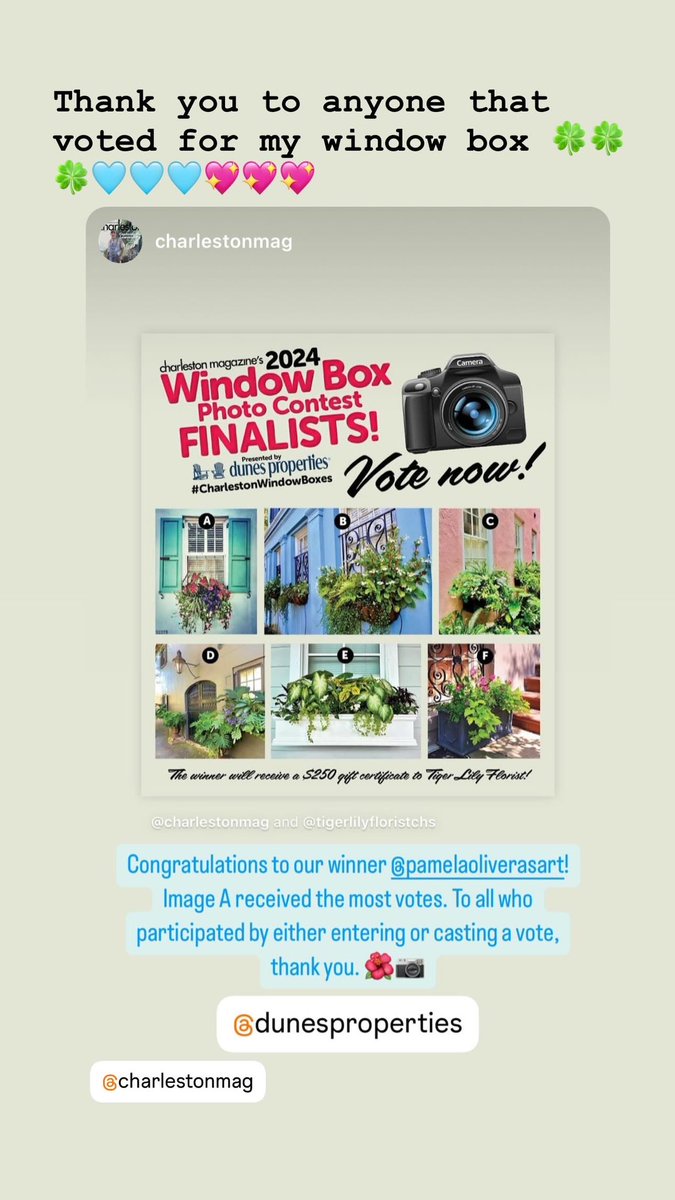 I won 🍀🍀🍀🪩🪩🪩🙏🙏🙏 #charleston #windowboxes