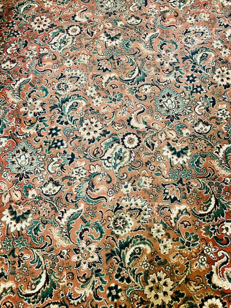 Si BRAPA Everitt tweet media