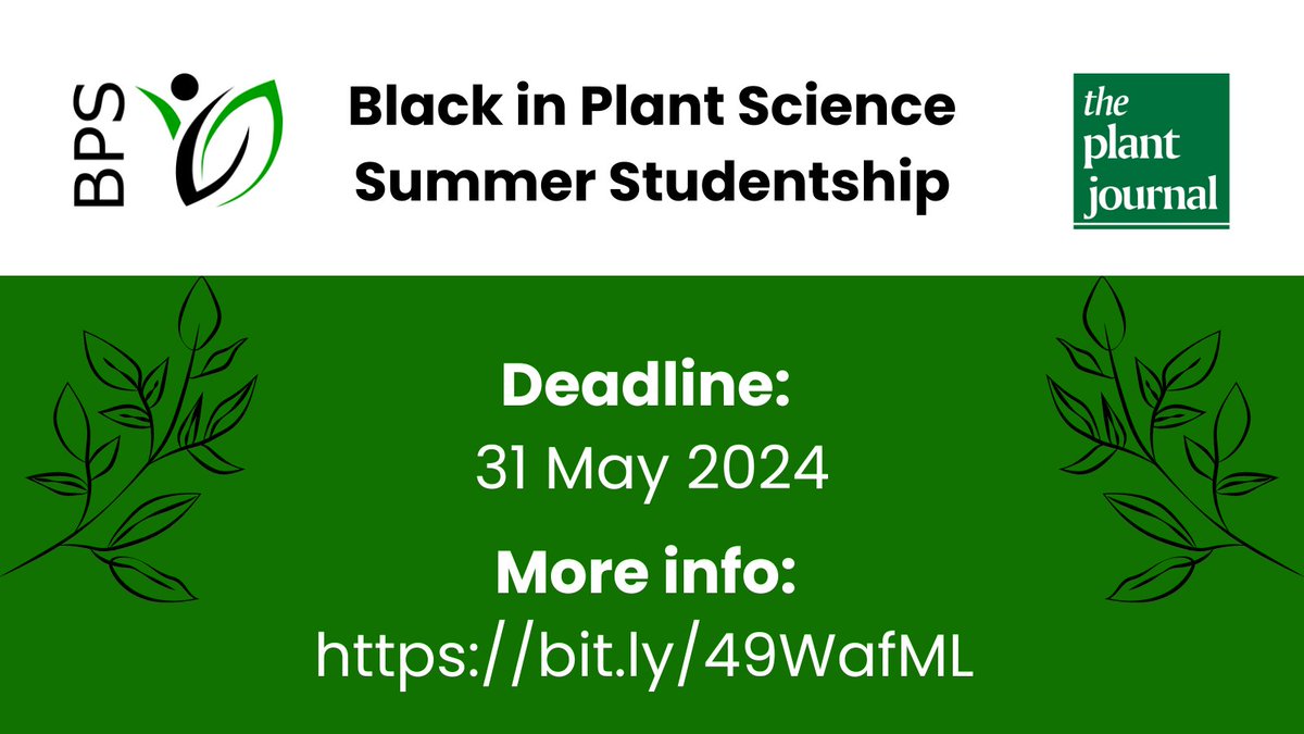 The BiPS Summer Studentship aims to encourage students to consider a career in plant sciences by providing funding to support paid summer placements for Black undergraduate students. If this is you or someone that you know then apply now: bit.ly/49WafML