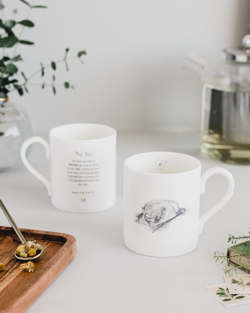 Creature Candy (@creaturecandy9) on Twitter photo Did you know the common pipistrelle bat weighs the same as a 20p coin? How amazing is that?
If you love bats, you can now pre-order a pipistrelle bat mug from our website. We will donate 10% to the <a href="/_BCT_/">Bat Conservation Trust</a>
creaturecandy.co.uk/mugs/pipistrel…
#bat #bats #lovebats #batmug #batgifts Did you know the common pipistrelle bat weighs the same as a 20p coin? How amazing is that?
If you love bats, you can now pre-order a pipistrelle bat mug from our website. We will donate 10% to the <a href="/_BCT_/">Bat Conservation Trust</a>
creaturecandy.co.uk/mugs/pipistrel…
#bat #bats #lovebats #batmug #batgifts