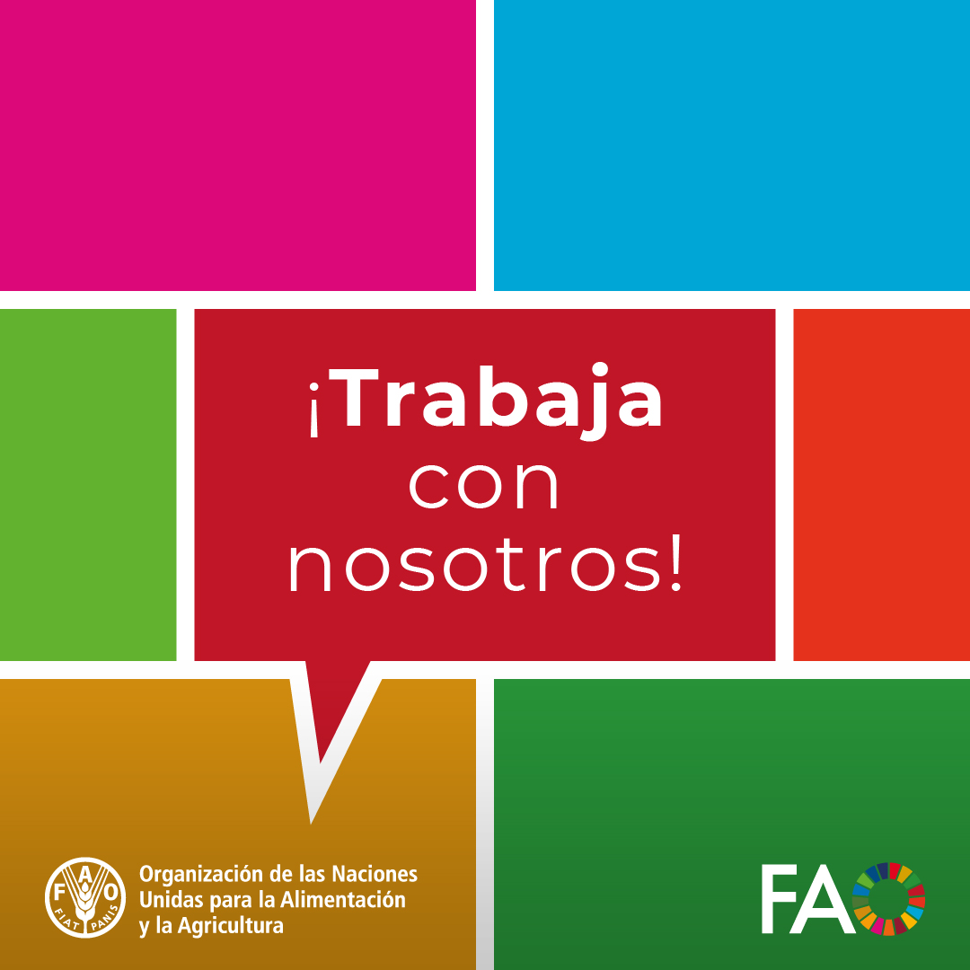 En la FAO trabajamos para transformar los sistemas agroalimentarios y lograr #MejorProducción, #MejorNutrición, #MejorMedioambiente y #UnaVidaMejor, sin dejar a nadie atrás.

¿Te gustaría trabajar con nosotros?

Visita fao.org/employment/es y sigue a @FAOJobs.

#UNJobs