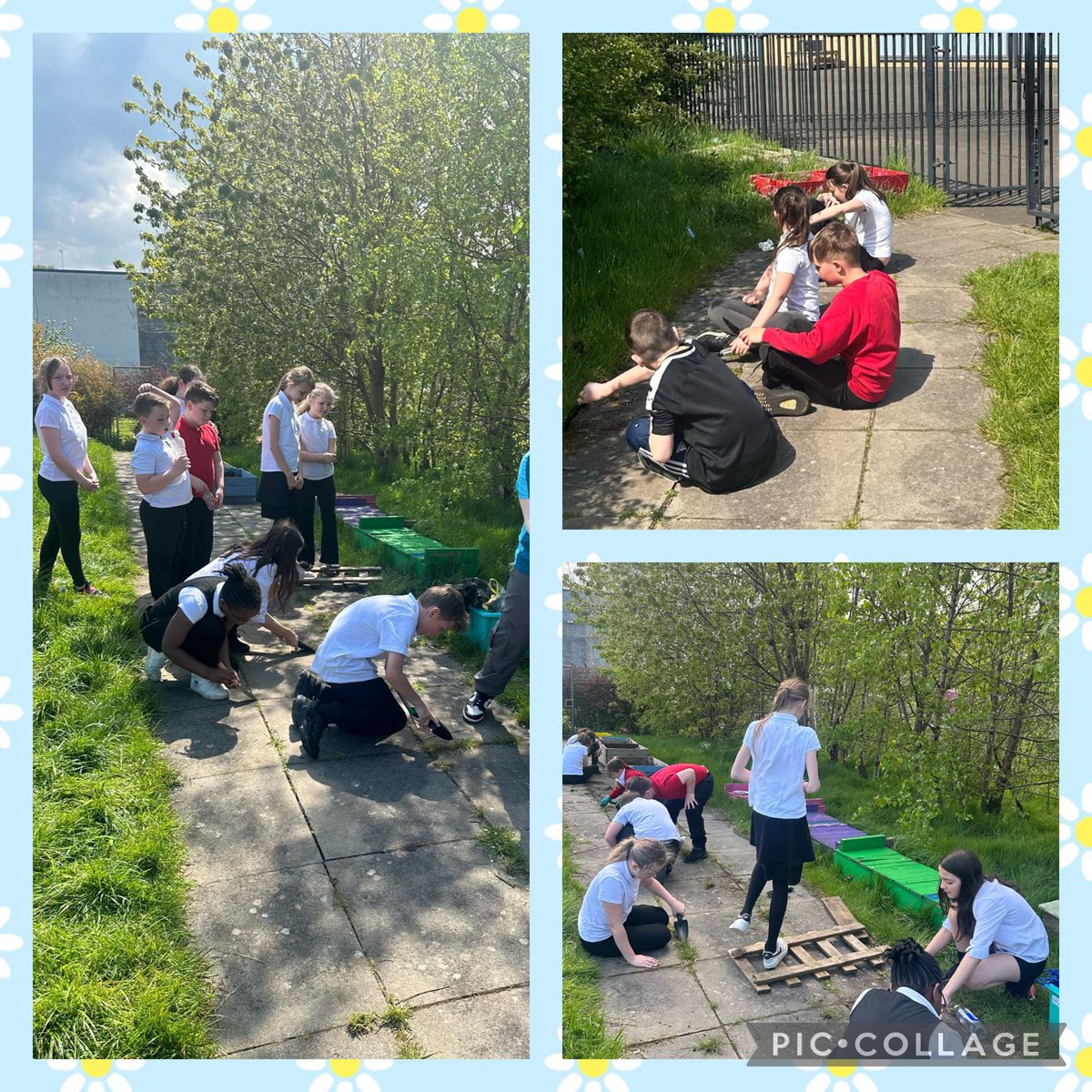 P6/5 began working on their garden project to help get the garden ready for summer. They made lists of what needs to be done & this week they began by weeding the path & litter picking.👩‍🌾🪴🌞