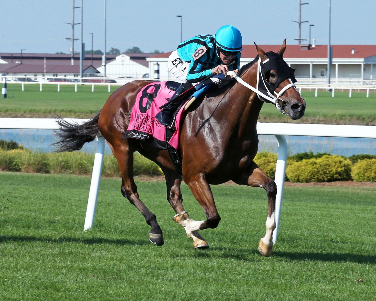 Nobals worked 3-furlongs in 36.4 at @ClubHawthorne Wednesday for trainer Larry Rivelli. 7/20. The @BreedersCup Turf Sprint winner returned to the worktab last week as he begins preparing for his return to the races

📸 @coadymediagroup