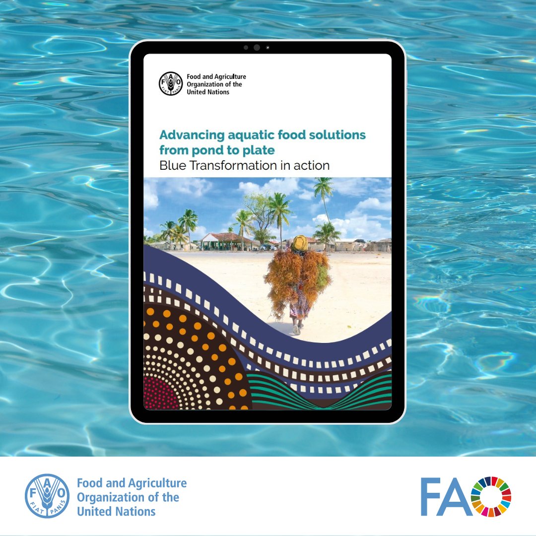 📢Out now! A new publication with lessons from Africa on advancing aquatic food solutions from pond to plate. Download now doi.org/10.4060/cd0467…… #BlueTransformation