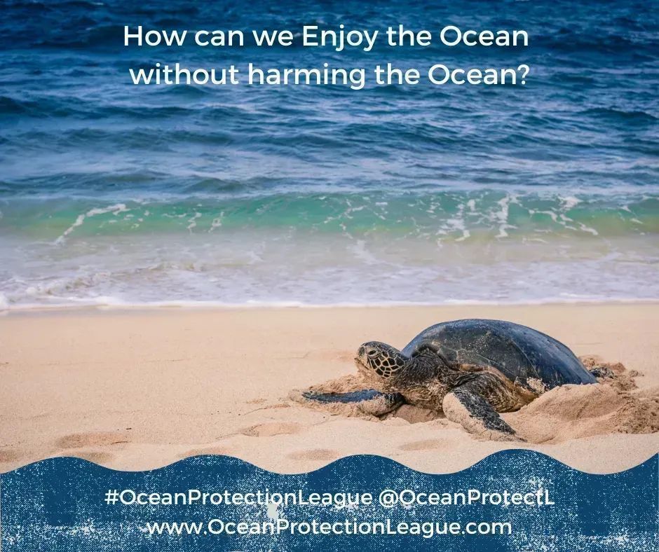 How can we enjoy the ocean without harming the ocean?

#OceanProtectionLeague #SaveTheOcean #ocean #beach #nature #sea #travel #love #sky #water #climatechange #Sustainable #climatecrisis #Recycle4Nature #recycling #ClimateAction #environment 

buff.ly/4abdSz8