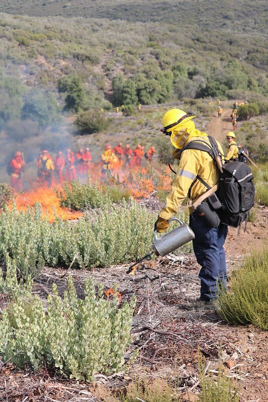 Prescribed fire now plays a crucial role in wildfire management. With improved understanding & execution, it's become a proactive tool to reduce fuel loads & mitigate fire risks. CAL FIRE's efforts are vital for protecting communities from catastrophic wildfires. #CALFIREClassic