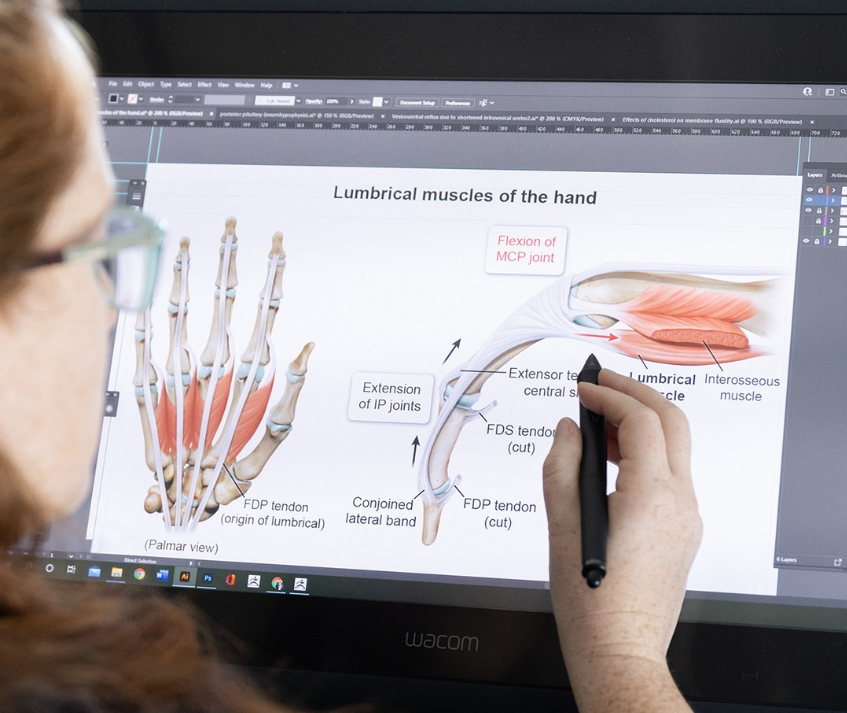 Our award-winning medical illustrations make concepts come to life. Check out our website by tapping on the link in our bio to learn more about our vivid illustrations and other features that help you master your USMLE® and COMLEX® exams! bit.ly/3r6eSmD