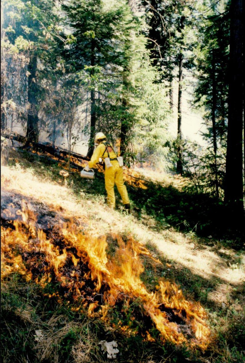 In the 1980s prescribed or controlled fire was used for agriculture, brush management, and timber understory maintenance. It was a tool to reduce fuel buildup by maintaining productive forests and reducing brushlands in California. There was a decline in the use of prescribed…