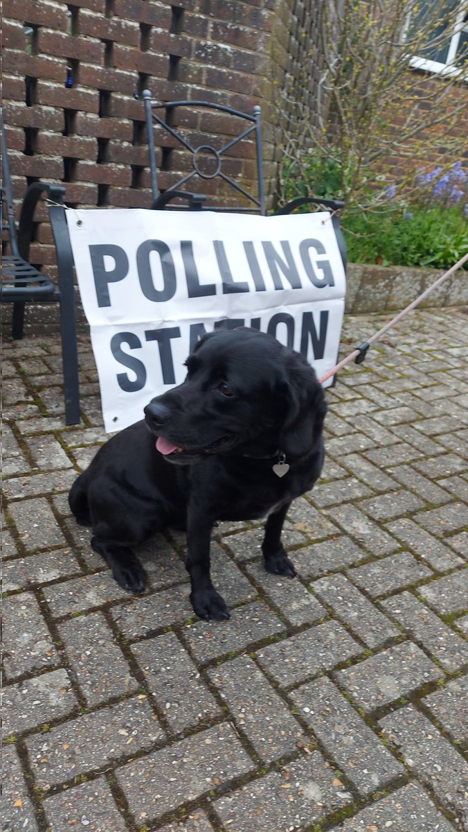 #dogsinpollingstations
Pickle