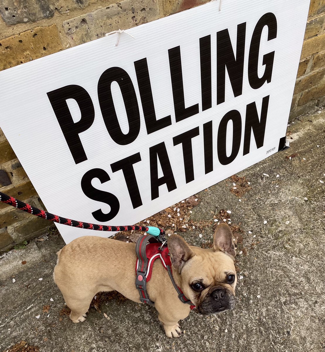 @livingstreets #DogsAtPollingStarions #PlanetTooting where loads of Walks are lined up for #NationalWalkingMonth eventbrite.co.uk/o/geoff-simmon…