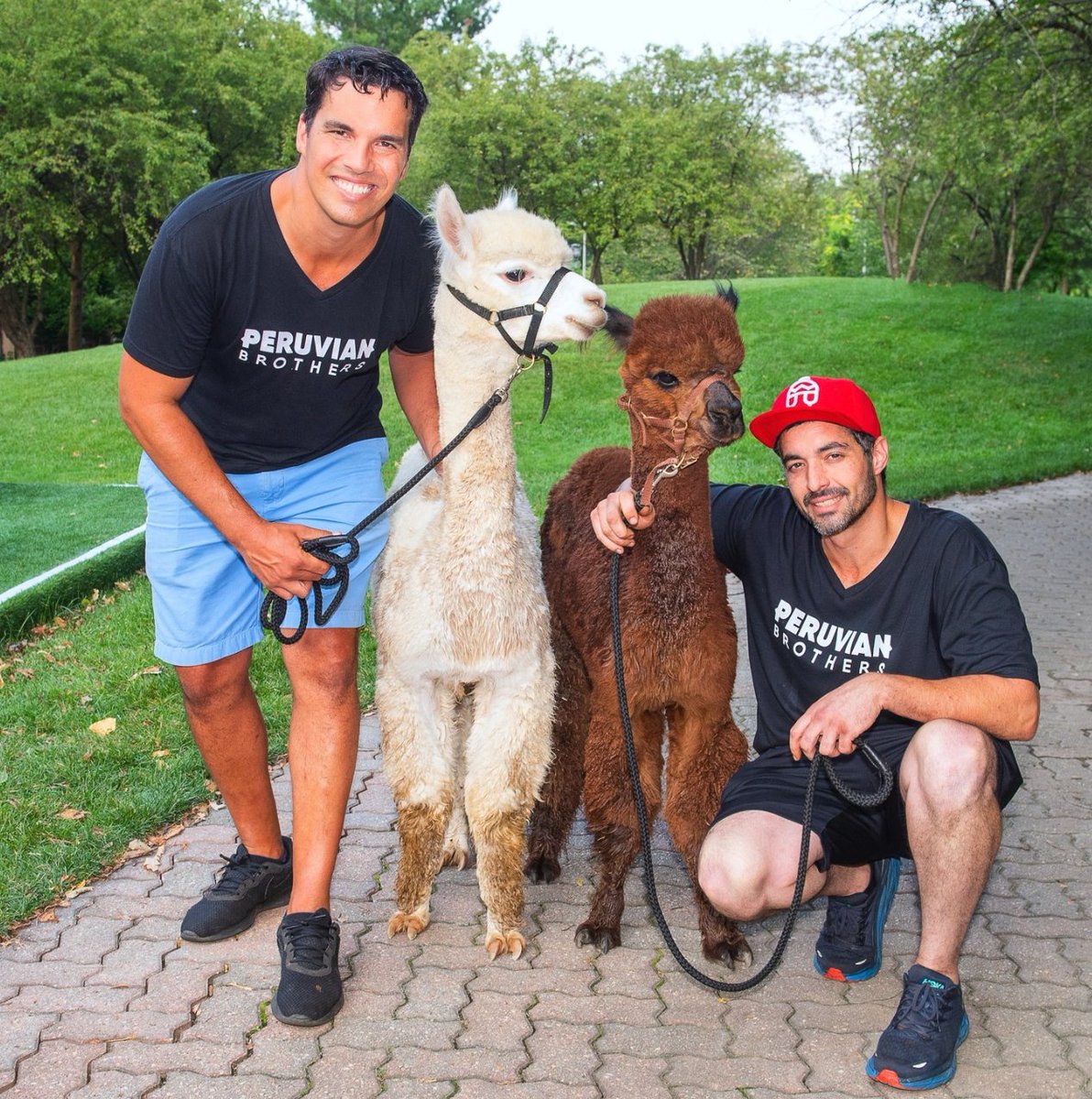 🦙✨ Fridays just got fluffier! Join Peruvian Brothers every Friday in May from 4 to 6 p.m. for some alpaca fun and unbeatable happy hour specials. 🍹🥟 🔗 Learn more: bit.ly/3WjPpDZ #NationalLanding #LoveNationalLanding