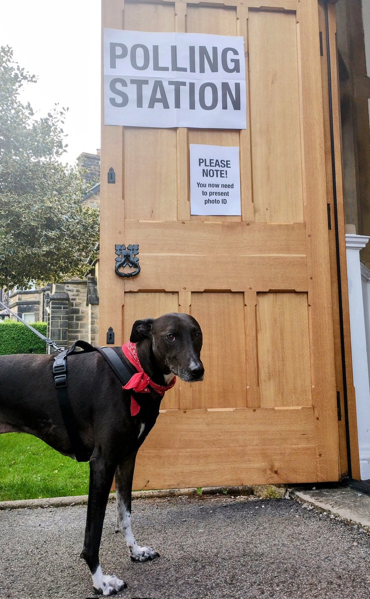 Woody is not impressed by the Tories attempt to make exercising our democratic rights harder. #dogsatpollingstations