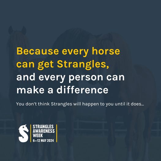 Strangles is one of the most common diseases diagnosed in horses worldwide. We see around 600 UK outbreaks each year. @StranglesWeek is a global effort to prevent and manage Strangles. Find out more 👉 bit.ly/3VwfwoH #SAW2024 #StranglesAwarenessWeek