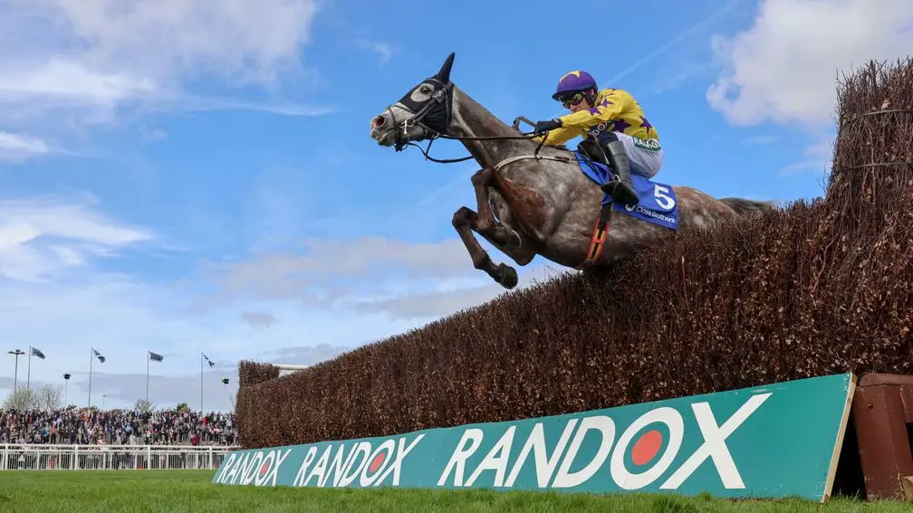 Il Etait Temps continues his cracking run of form to upset stablemate Gaelic Warrior in the Barberstown Castle Novice Chase at Punchestown. The Jukebox Jury gelding is the second foal out of Une Des Sources, a winning Dom Alco half-sister to the smart Arbre De Vie.