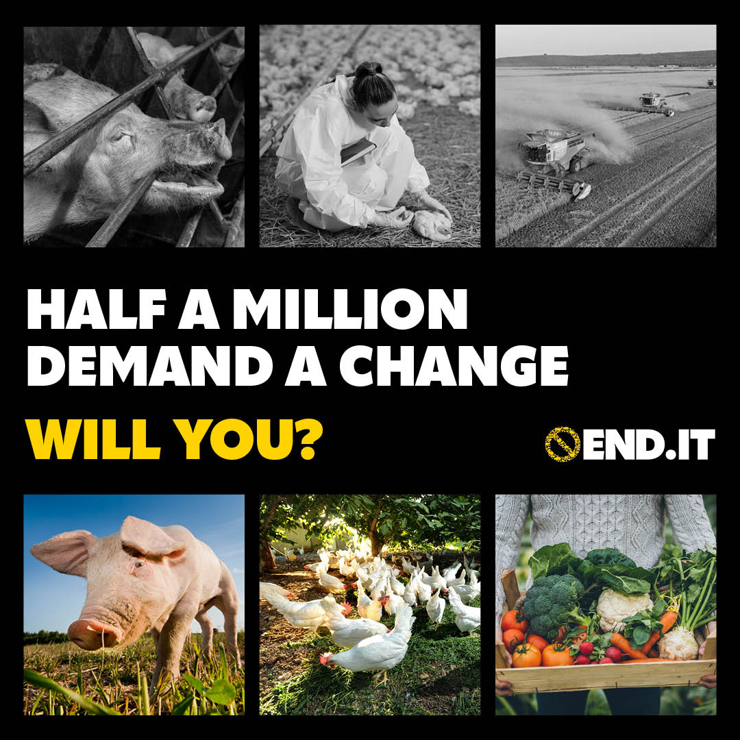 HALF A MILLION people have signed our petition demanding a global agreement on food and farming! ✊ If one of these is yours - THANK YOU! Not signed yet? Add your voice now: bit.ly/3URkyue #EndIt