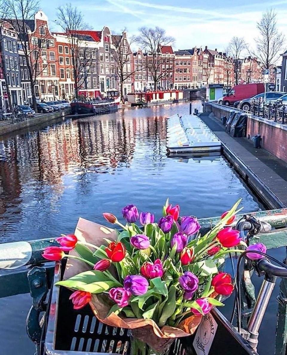 Amsterdam #amsterdam #cityscape #travel #photography #destinations #X #scenery #travelphotography