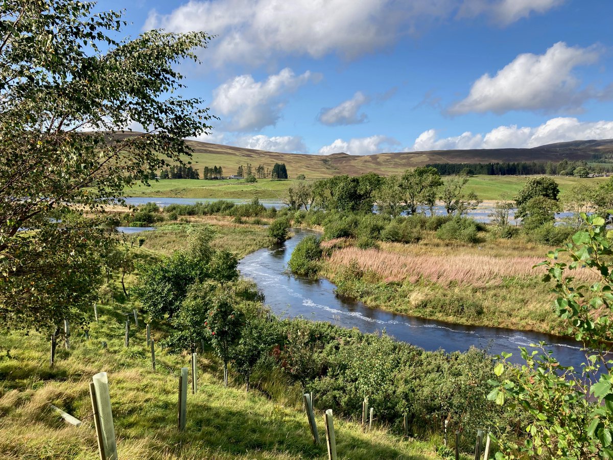 Interested in rivers and woodlands?
Here's a chance to contribute to research: please fill out the #RivyEvi survey investigating evidence gaps to address to improve river woodland management 👇

viis.abdn.ac.uk/snapwebhost/s.…

@JamesHuttonInst @aberdeenuni @CREW_waters @WTScotsocial