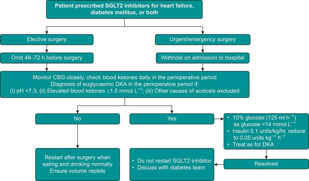 🔴 Heart failure with preserved ejection fraction: implications for anaesthesia #OpenAccess #2024Review

bjaed.org/article/S2058-…
#medx #medEd #MedTwitter  #cardiotwitter #FOAMed #CardioEd #Cardiology #MedEd #ENARM #cardiotwiteros  #cardiology #CardioTwitter  #medtwitterWhat