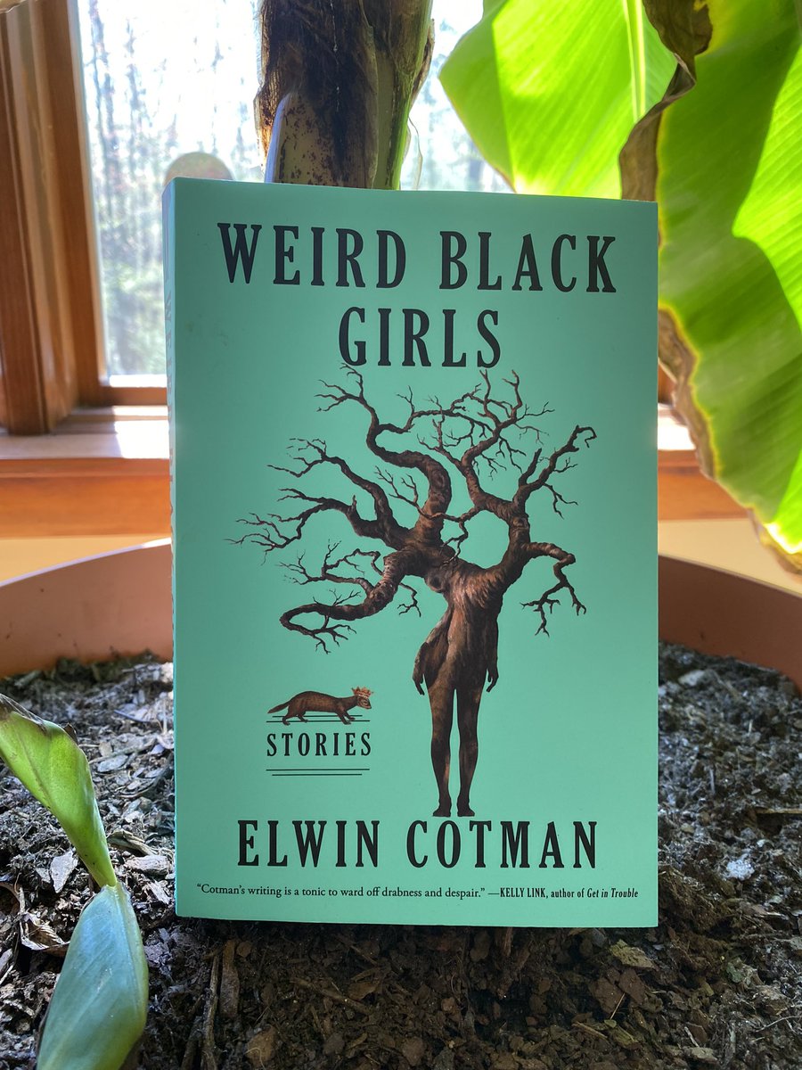 Can’t wait to read this one! Elwin Cotman’ short stories are amazing (and often mythical, speculative, and genre-defying). Praised by Kelly Link and Karen Russell too! #amreading #shortstories @BlackFlaneur