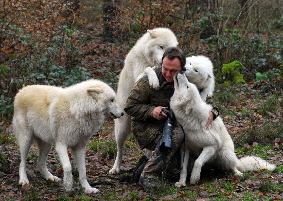 8. Dances with Wolves by Michael Schönberger